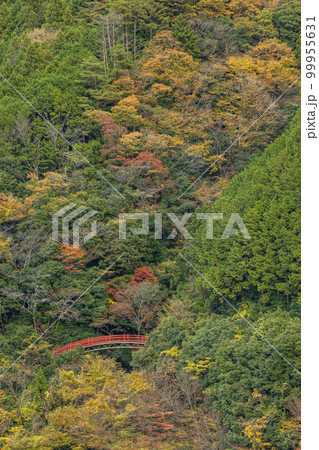 日本　静岡県榛原郡川根本町の大井川沿いにある長島公園から見える椿橋 99955631
