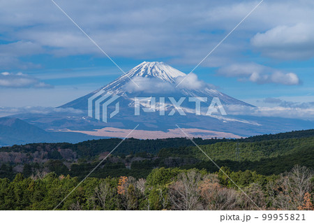 日本　静岡県三島市にある三島スカイウォークから見える富士山 99955821
