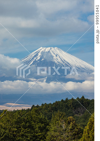 日本　静岡県三島市にある三島スカイウォークから見える富士山 99955841