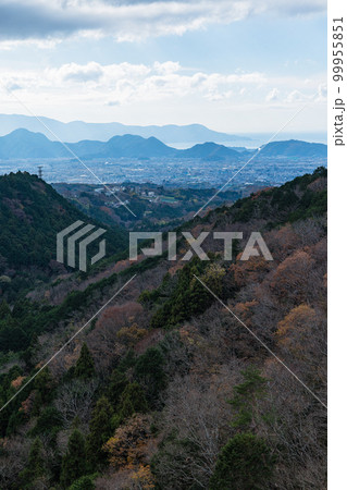 日本　静岡県三島市の三島スカイウォークから見える風景 99955851