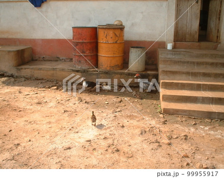 雨水タンク 雨水タンク 99955917