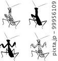 Mantis religiosa, mantis insect, insect, crawling, flying, hunting, black, vector, drawing, silhouette, x, design, symbol, picture, isolated, illustration, large, abdomen, paws, nature, realism 99956109