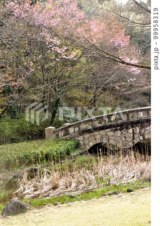 スナップフォト:北総花の丘公園 春風に吹かれて散歩 スナップフォト:北総花の丘公園 春風に吹かれて散歩 99958319