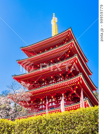 高幡不動尊　梅と五重塔　縦構図 99959779