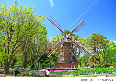名古屋市、名城公園オランダ風車の風景 名古屋市、名城公園オランダ風車の風景 99960553