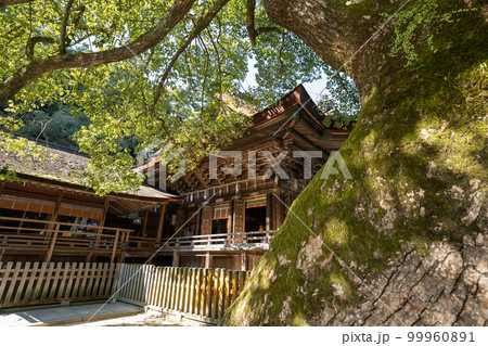 金比羅山の風景 金比羅山の風景 99960891