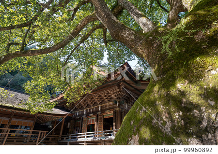 金比羅山の風景 金比羅山の風景 99960892