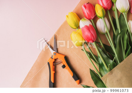 Multicolored tulips and secateurs in craft paper on a pink background 99961073