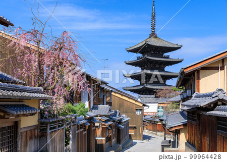 京都法観寺_桜咲く安寧坂と八坂の塔の絶景 99964428