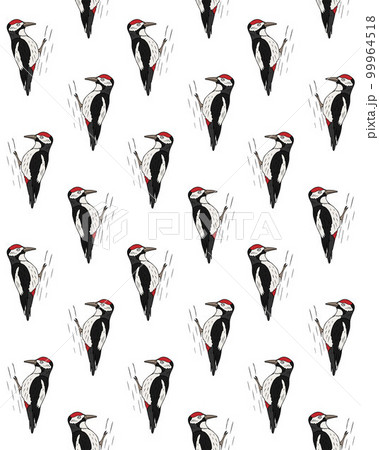 Vector seamless pattern of woodpecker bird 99964518