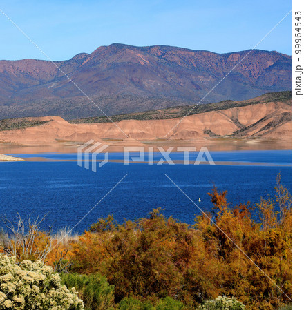 Blue Skies Roosevelt Lake Arizona 99964543