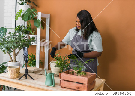 African american florist blogger filming tutorial video about transplanting plants in home garden. Make video vlog with mobile phone 99964550