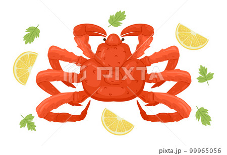 Cartoon crab. Marine animal with claws, ocean seafood, mediterranean diet, tasty red crab with lemon, fresh sea food flat vector illustration 99965056