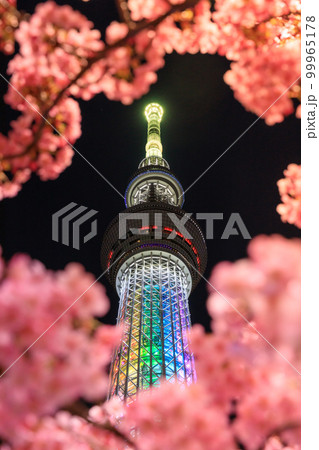 東京スカイツリー_河津桜の絶景夜景風景 99965178
