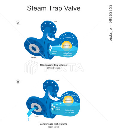 Steam Trap Valve. A steam trap is an automatic valve designed to discharge condensate from steam pressure in tank which use for moisture control equipment kinds of industrial. 99965255