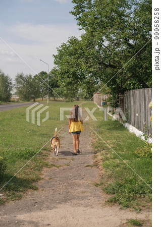 A child walks a dog on a leash along a path in the suburbs on a summer morning. Daily exercise. Rear view A child walks a dog on a leash along a path in the suburbs on a summer morning. Daily exercise. Rear view 99968258