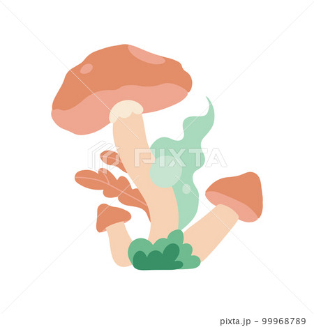 Psychedelic mushrooms icon. Botany, flora and plants. Graphic element for printing on fabric. Retro and old style, fantasy and imagination, magic concept. Hand drawn flat vector illustration Psychedelic mushrooms icon. Botany, flora and plants. Graphic element for printing on fabric. Retro and old style, fantasy and imagination, magic concept. Hand drawn flat vector illustration 99968789