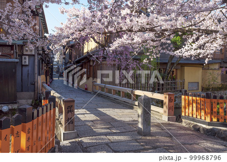 京都祇園白川 桜満開の巽橋 京都祇園白川 桜満開の巽橋 99968796
