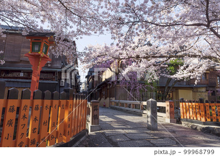京都祇園白川 桜満開の巽橋 京都祇園白川 桜満開の巽橋 99968799