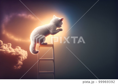 Curious kitten climbing the ladder to the sky with clouds. Cute tiny cat on the stairway. Generated AI. 99969392