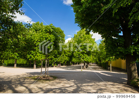 A beautiful sunny day at the famous Schonbrunn Park Palace in Vienna. A beautiful sunny day at the famous Schonbrunn Park Palace in Vienna. 99969456