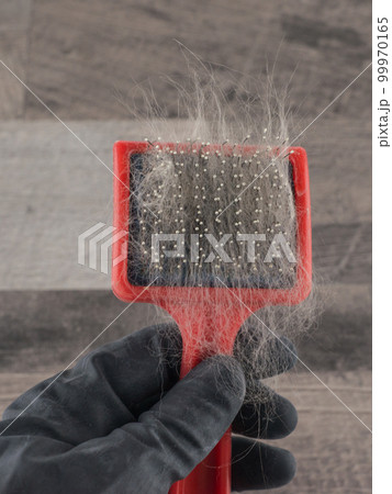 fluffy Pets hygiene 99970165