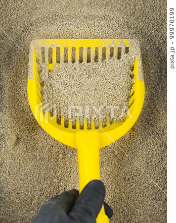 pet toilet hygiene pet toilet hygiene 99970199