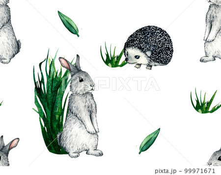 Seamless pattern. Watercolor wild forest animals: hedgehog and hare, rabbit. Nature illustration for kids design. 99971671