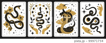Mystic snakes symbols. Magic serpents with different occult symbols, spiritual elements, stars on skin, hands and flowers, poster or tarot cards, gold and black elements, tidy vector set 99971734