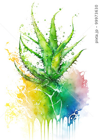 Aloe Vera plant in rainbow watercolor splash, aloe juice concept. Generative AI illustration Aloe Vera plant in rainbow watercolor splash, aloe juice concept. Generative AI illustration 99973630