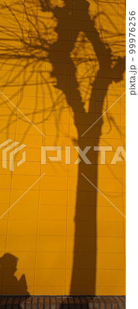 道 路地 建物 99976256