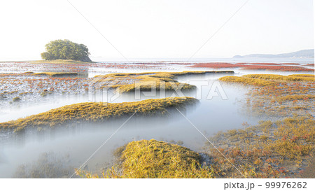 自然 背景 海 99976262