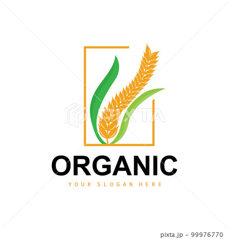 Rice Plant Logo Vector