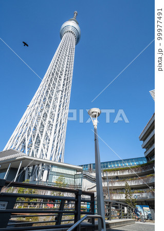 「東京都」東京スカイツリーとソラマチ 99977491