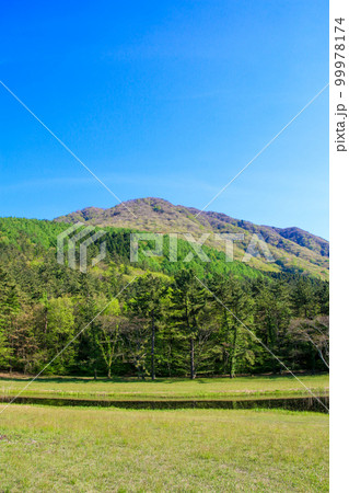 姫逃池 姫逃池 99978174
