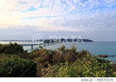 角島大橋の景観 角島大橋の景観 99978339