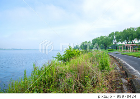 谷中湖　渡良瀬遊水地　中の島からの眺め　早朝の風景　　 99978424