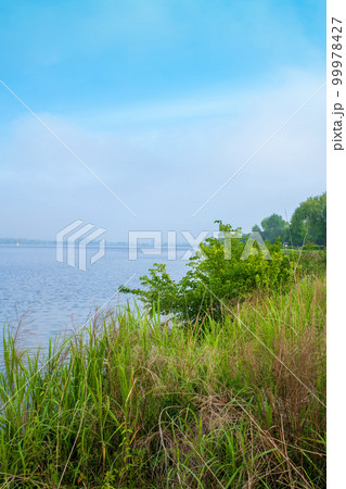 谷中湖 渡良瀬遊水地 中の島からの眺め 早朝の風景 谷中湖 渡良瀬遊水地 中の島からの眺め 早朝の風景 99978427