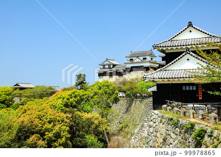 現存12天守松山城の登り石垣と天守閣 現存12天守松山城の登り石垣と天守閣 99978865