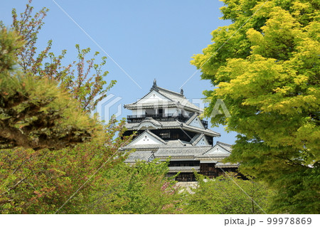 現存12天守松山城の登り石垣と天守閣 99978869