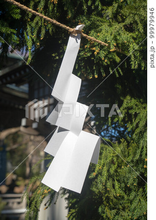 紙垂 99979946