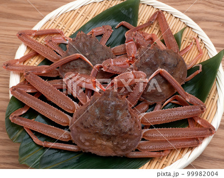 活けズワイガニ 活けズワイガニ 99982004