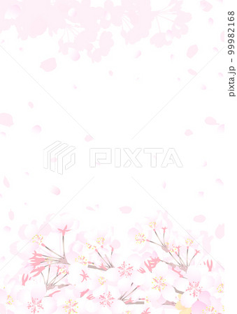 白い背景に桜の枝と舞う花びらのイラスト 白い背景に桜の枝と舞う花びらのイラスト 99982168