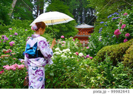 お寺に咲く紫陽花と浴衣姿の女性 お寺に咲く紫陽花と浴衣姿の女性 99982643