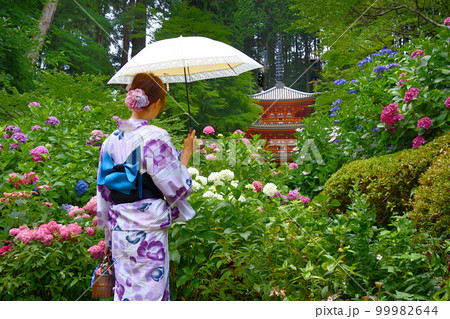 お寺に咲く紫陽花と浴衣姿の女性 お寺に咲く紫陽花と浴衣姿の女性 99982644