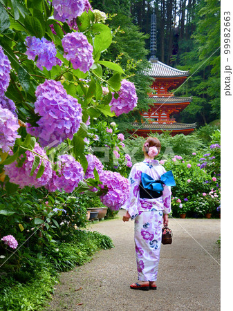 お寺に咲く紫陽花と浴衣姿の女性 99982663