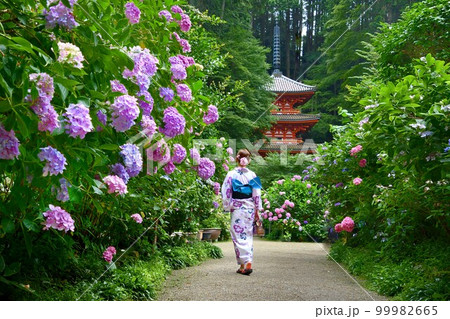 お寺に咲く紫陽花と浴衣姿の女性 99982665