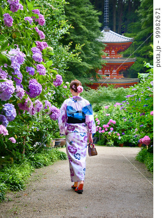 お寺に咲く紫陽花と浴衣姿の女性 お寺に咲く紫陽花と浴衣姿の女性 99982671