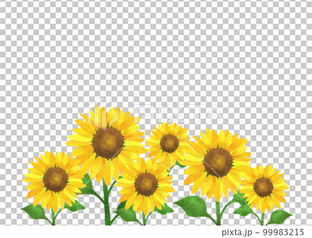 Summer sunflower background pattern 1 99983215