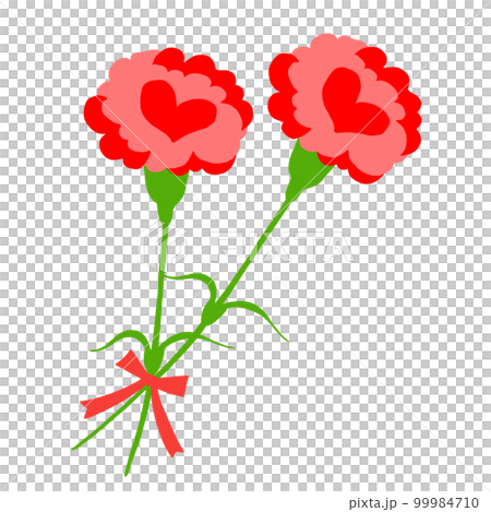Carnation Carnation 99984710